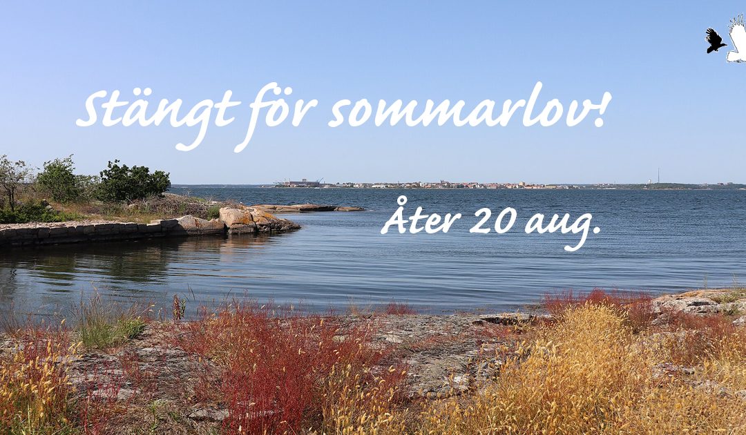 BETVINGADE AV SOMMARDAGENS LYCKA GÅR ÖRNEN OCH KRÅKAN TILL VILA