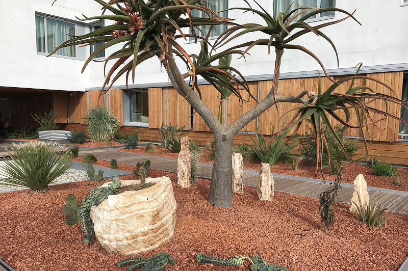 paysagiste montpellier jardin deco - paysagiste jardin orphis