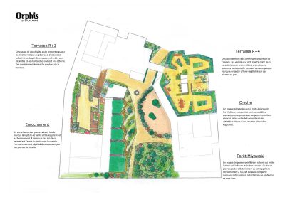 Plan paysager paysagiste Montpellier