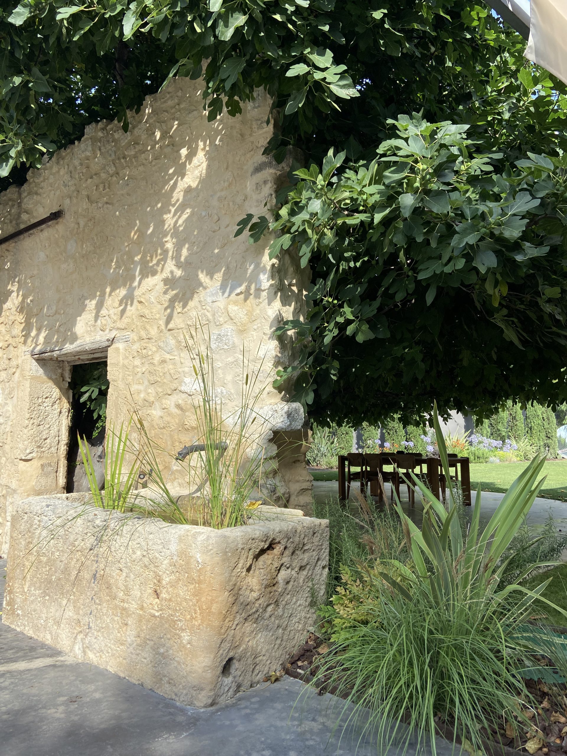 jardin-mediteranneen-creation-fontaine-montpellier-orphis Fontaine en pierre entourée de végétaux dans un jardin méditerranéen