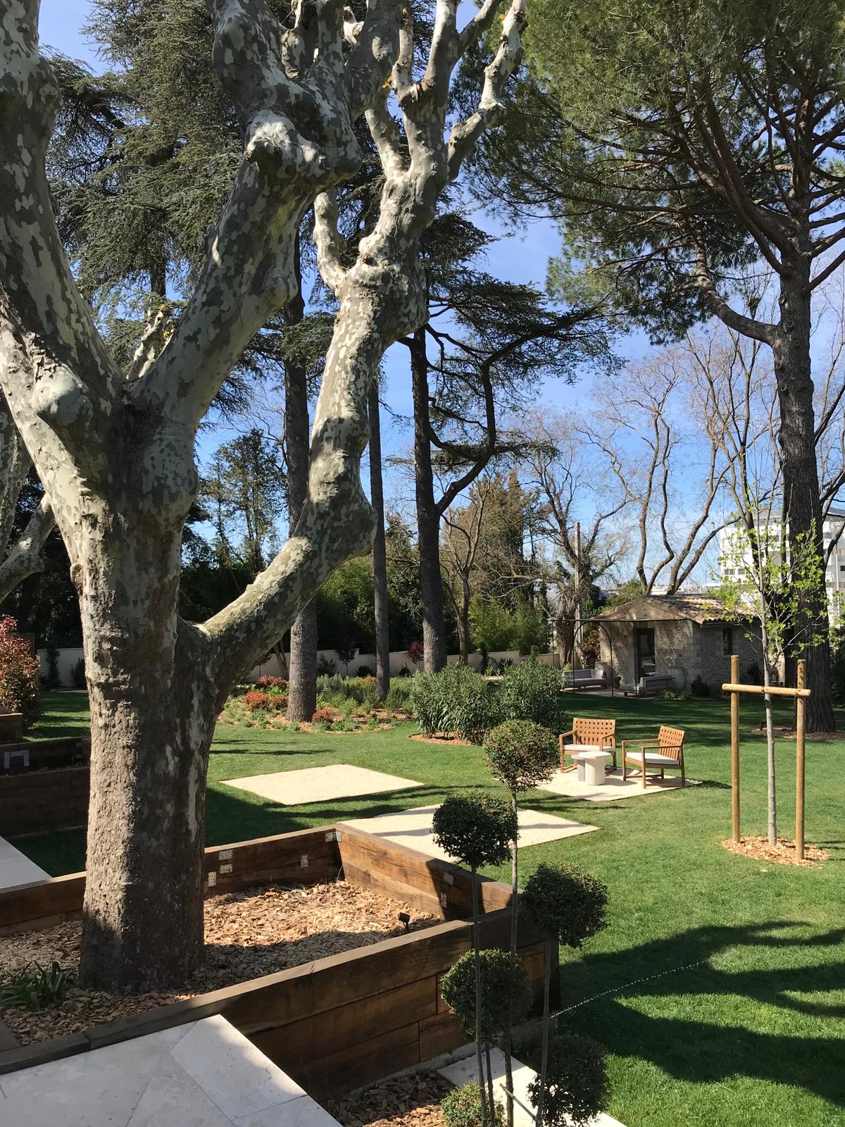 paysagiste-jardin-pelouse-creation-montpellier-orphis Jardin avec une grande pelouse et des arbres qui crée de l'ombre sous le ciel bleu de Montpellier
