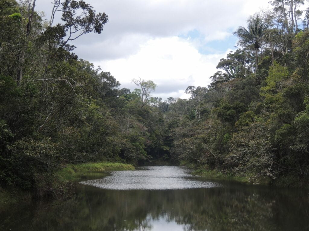 Analamazaotra river
