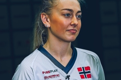 VM-Norge