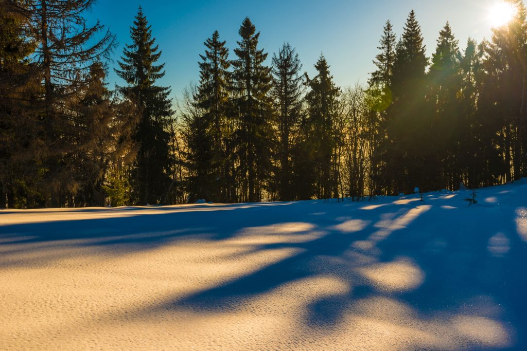 Naturbild