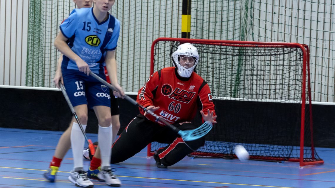 Innebandy: IF Ariel utan chans mot serieledarna Innebandy: IF Ariel utan chans mot serieledarna