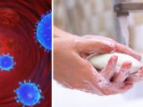 Coronavirus jämte ett par händer som tvättar sig med tvål