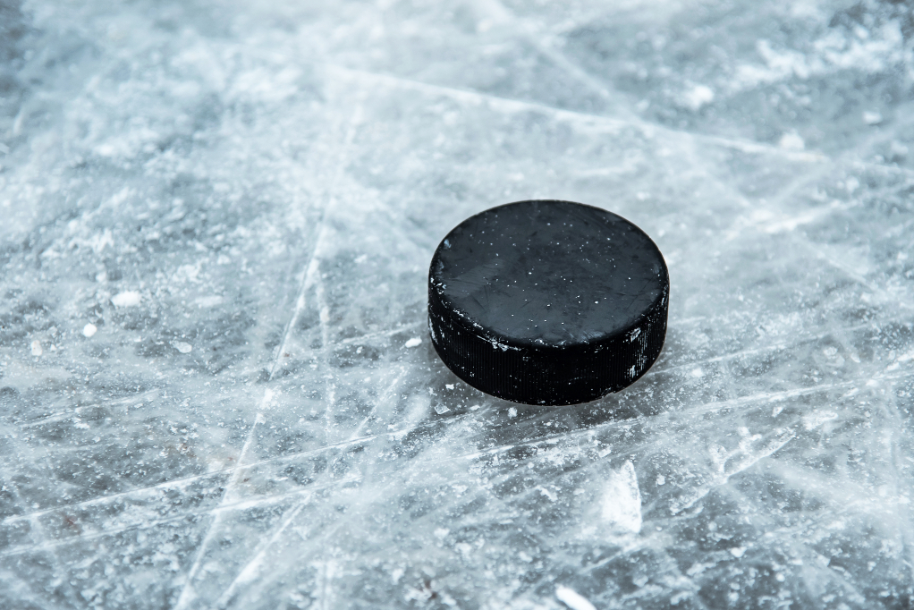 hockeypuck på is