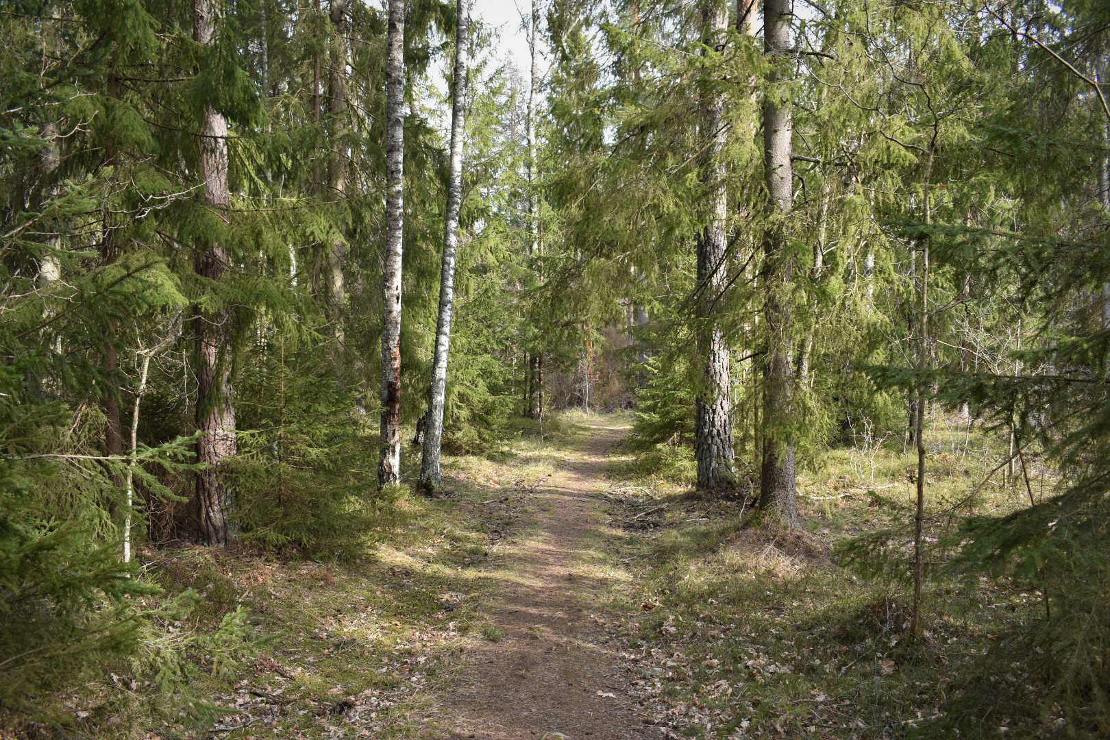 Så hittar du ut i naturen i Oskarshamns kommun | Oskarshamns-Nytt