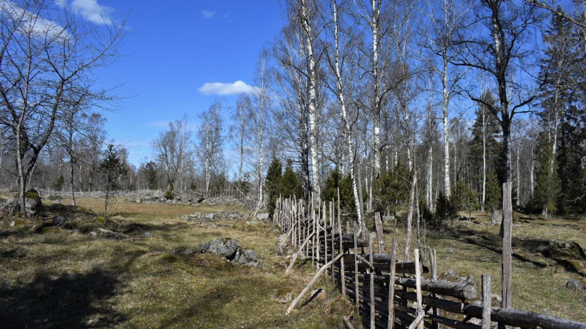 Bildextra: Fotografier från det vackra naturreservatet i Krokshult Bildextra: Fotografier från det vackra naturreservatet i Krokshult