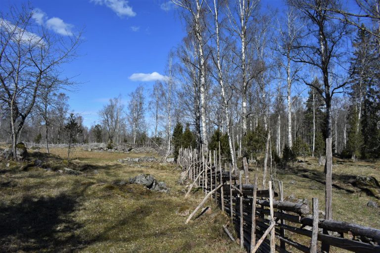 Krokshults naturreservat