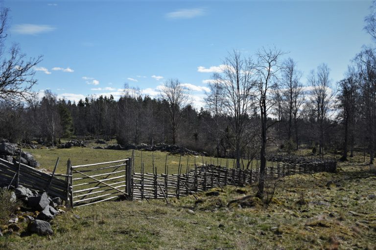 Krokshults naturreservat