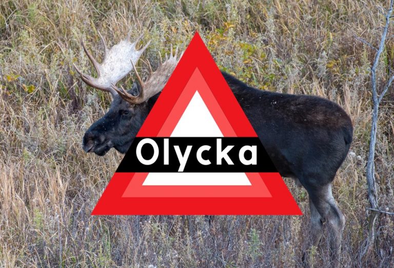 olyckstriangel och älgtjur med skovelhorn