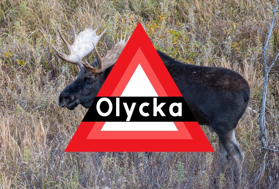 Älgolycka i höjd med Oskarshamn sent på onsdagskvällen Älgolycka i höjd med Oskarshamn sent på onsdagskvällen