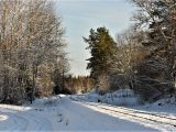Järnväg i vinterlandskap
