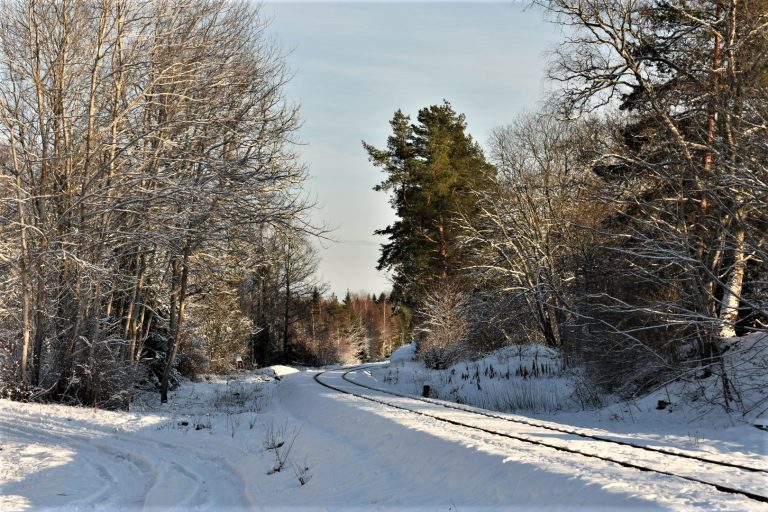 Järnväg i vinterlandskap