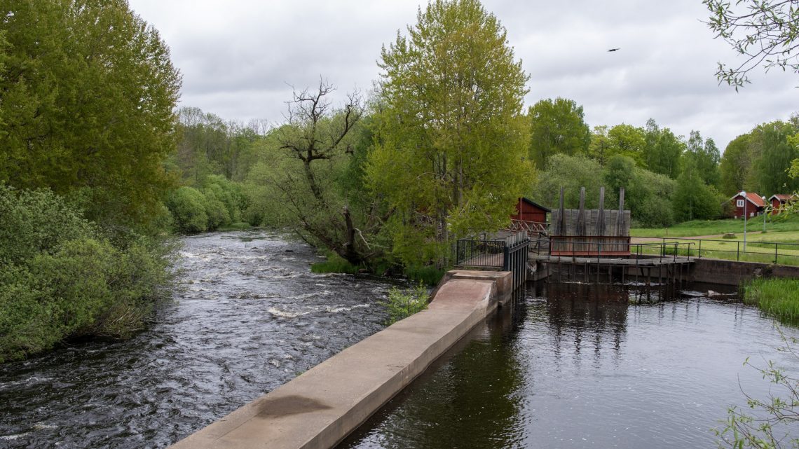 Så kan Jungnerholmarna i Fliseryd bli ännu populärare Så kan Jungnerholmarna i Fliseryd bli ännu populärare