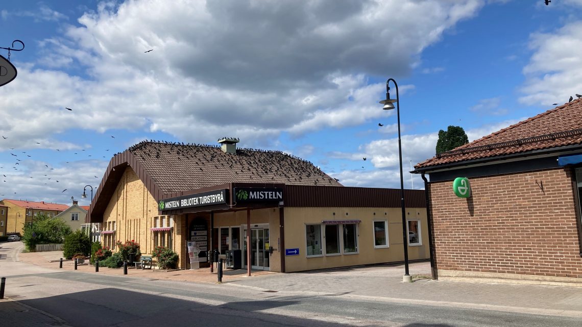 Klagomål: Fullt med kajor i centrala Högsby Klagomål: Fullt med kajor i centrala Högsby