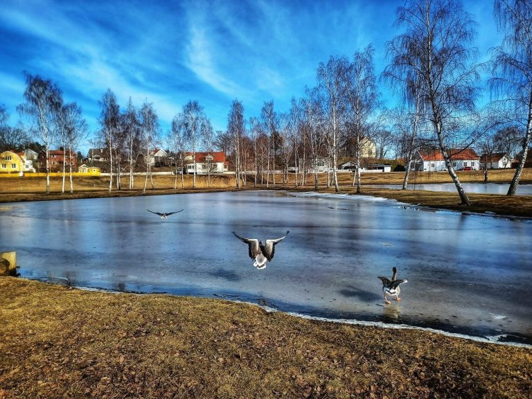 Norrån i Figeholm en kall vårdag