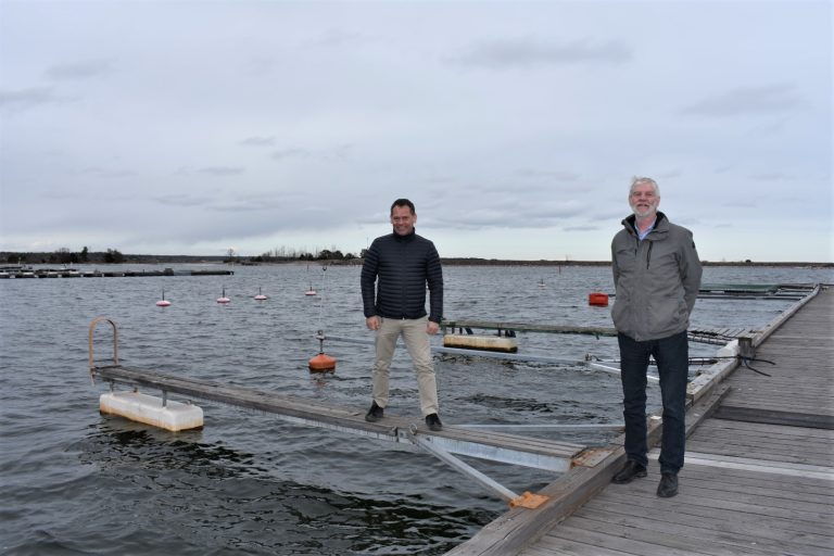 Oppositionsrådet Mathias Karlsson (L) och Ingemar Lennartsson (KD) tittar in i kameran