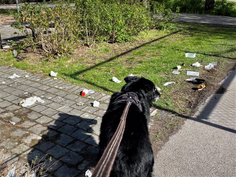 Nedskräpat i Kristineberg, Oskarshamn.