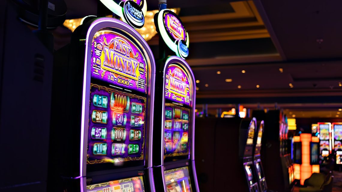 Find your favorite in the casino jungle