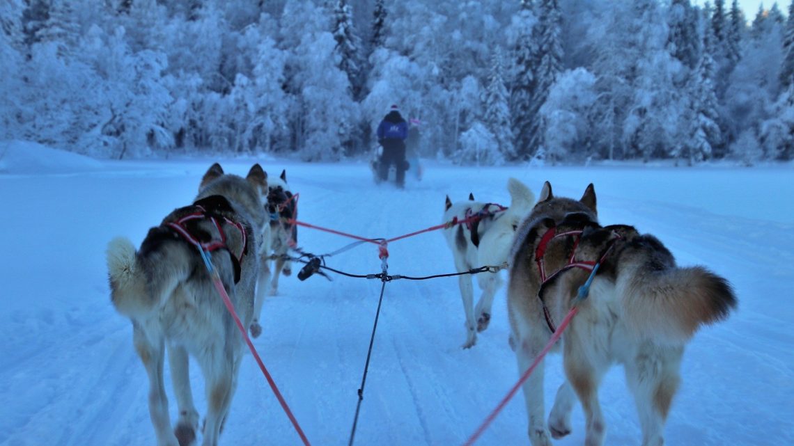 Det finns flera trevliga aktiviteter i Finland Det finns flera trevliga aktiviteter i Finland