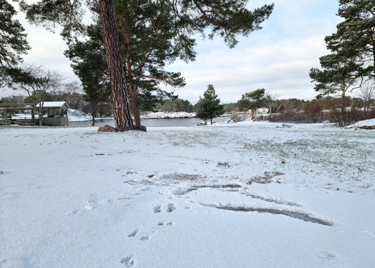 Snö, ishalka, Gunnarsö, Oskarshamn