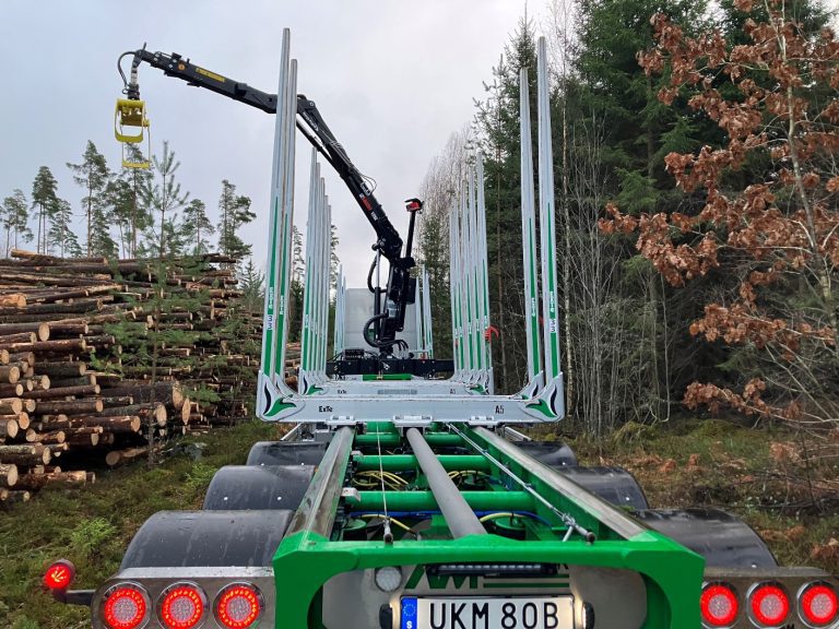 Södra VR-timmerbil i skogen