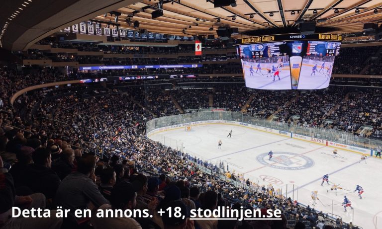 Publiken i Madison Square Garden