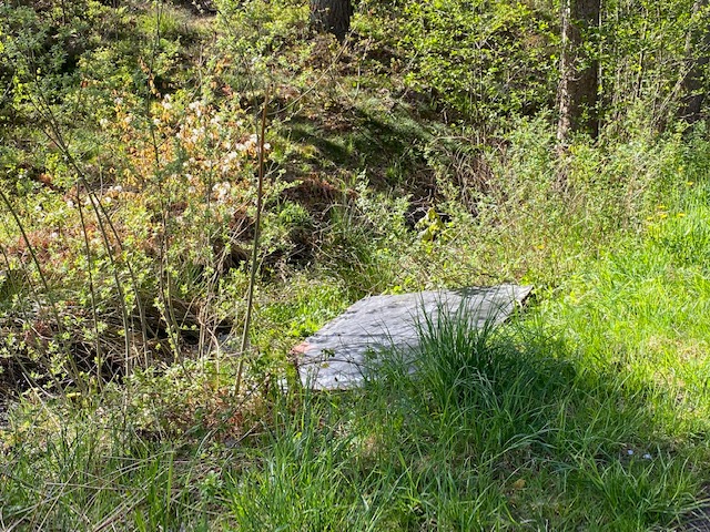 Skadegörelse vid motionsspåret i Kristineberg i Oskarshamn