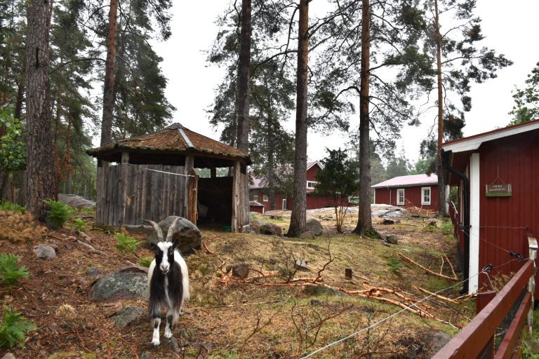 Lantgården Nymålen utanför Oskarshamn