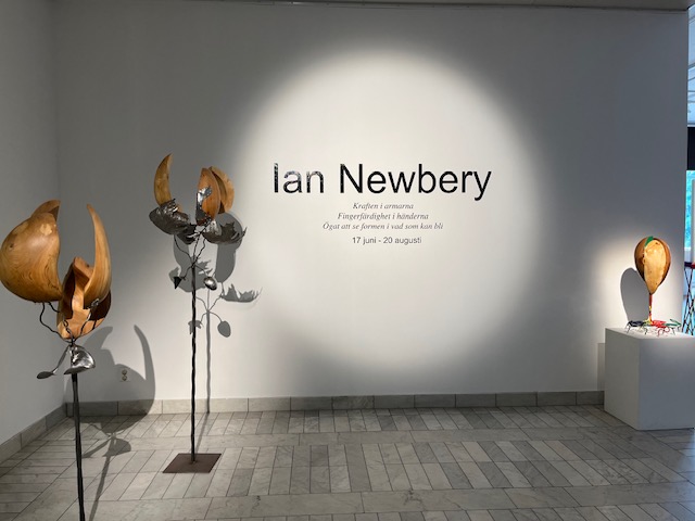 Ian Newbery i konsthallen