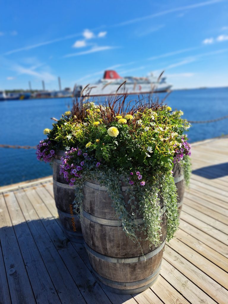 Läsarbild på blomurna i hamnen