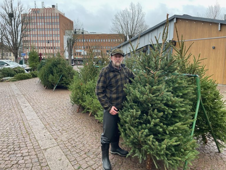 Göte Ivarsson med julgranar