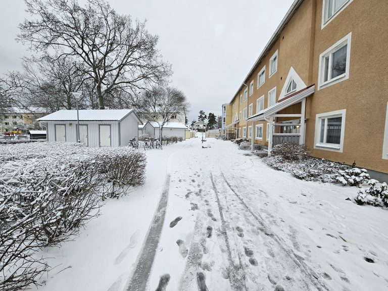 Snö