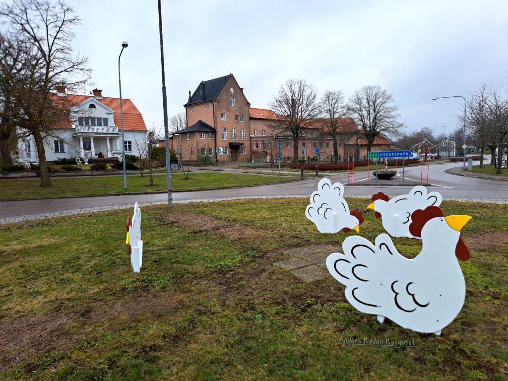 Höns välkomnar trafikanter i rondellen i Mönsterås