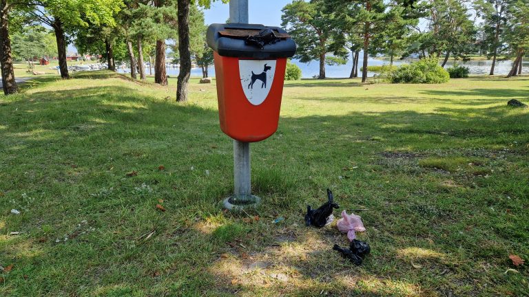 Hundlatrin i Påskallavik