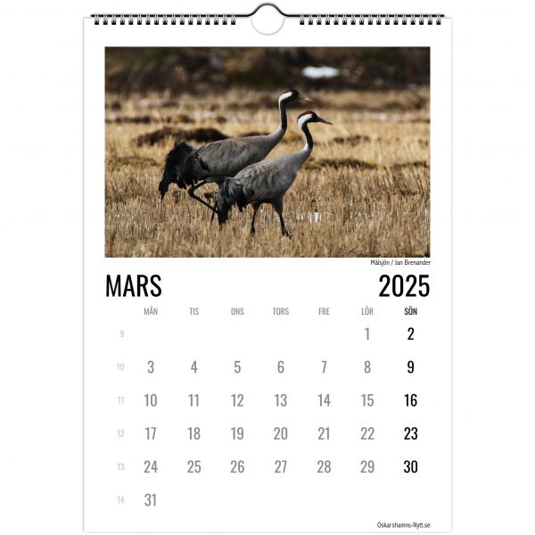 Kalender mars