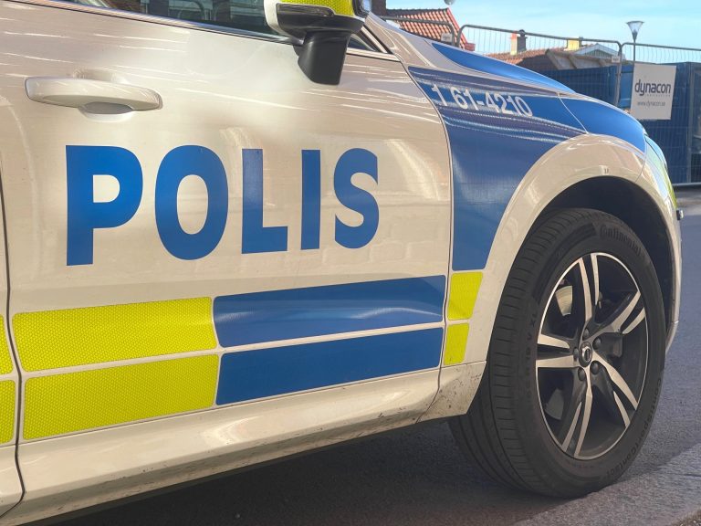 Genrebild, polisbil