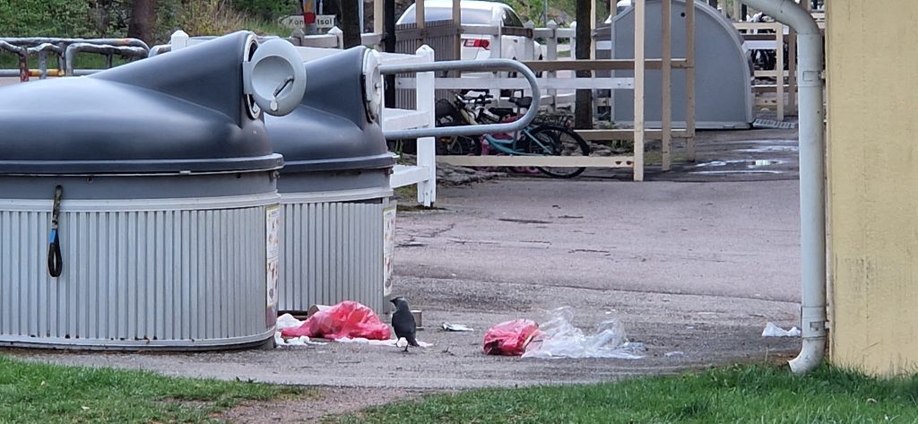 Nedskräpning på återvinningsstationen i Södertorn i Oskarshamn. Foto: Privat