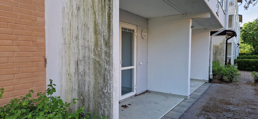 Den här bilden tog en ON-läsare i bostadsområdet Lyckan i Kristineberg i Oskarshamn på fredagen den 6 juni. Foto: Privat