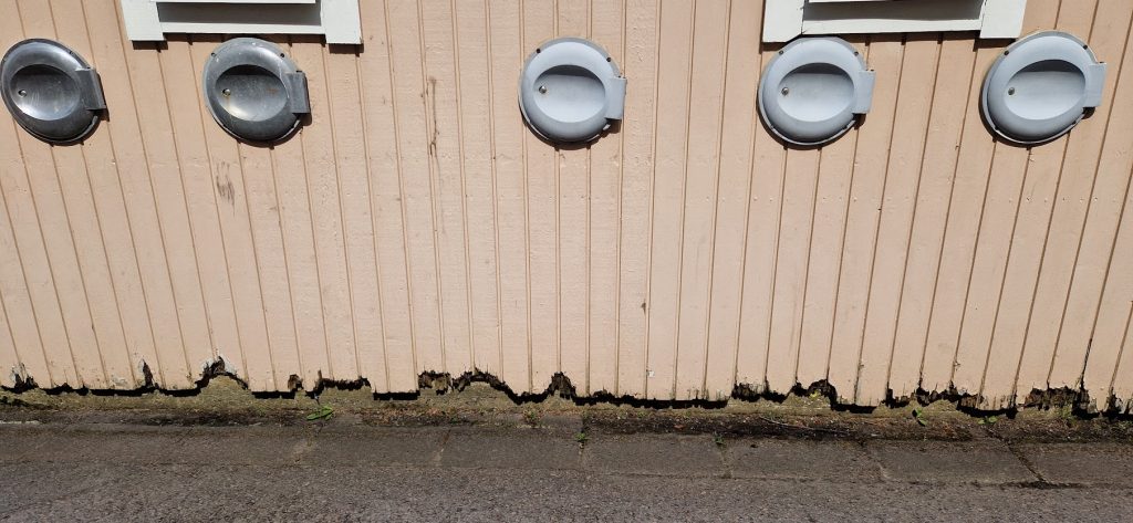 Bostadsområdet Kristineberg i Oskarshamn förfaller. Foto: Privat