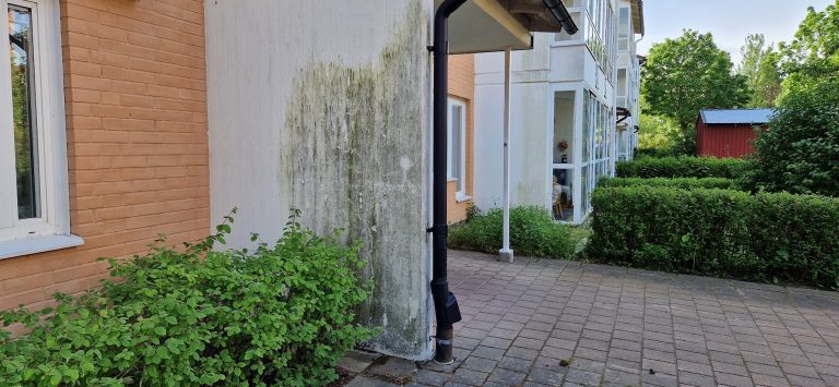Den här bilden tog en ON-läsare i bostadsområdet Lyckan i Kristineberg i Oskarshamn på fredagen den 6 juni. Foto: Privat