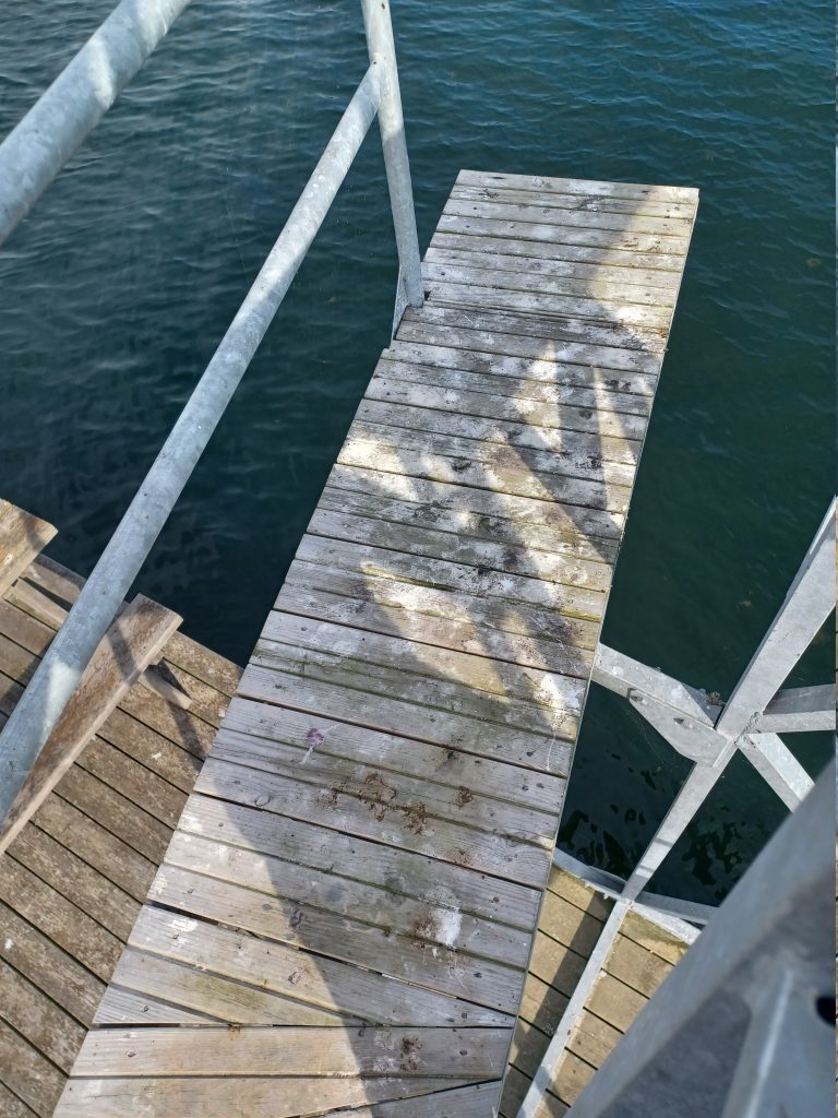 Fågelskit på brygga vid badplats i Figeholm. Foto: Privat