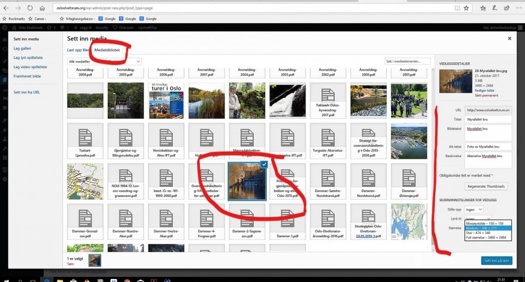 Sette inn bilde fra mediebibliotek i WordPress