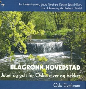 Jubel og gråt Blågrønn hovedstad 