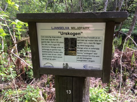 Foto av informasjonsskilt om "urskogen".
