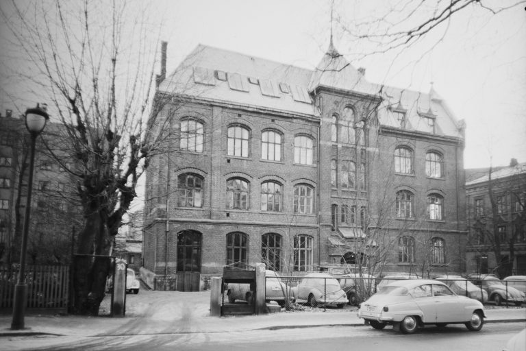 Halling skole i 1964

Foto: Henriksen & Steen / Nasjonalbiblioteket