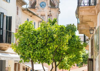 galeria_osteria_el_patio_alcudia_mallorca_27