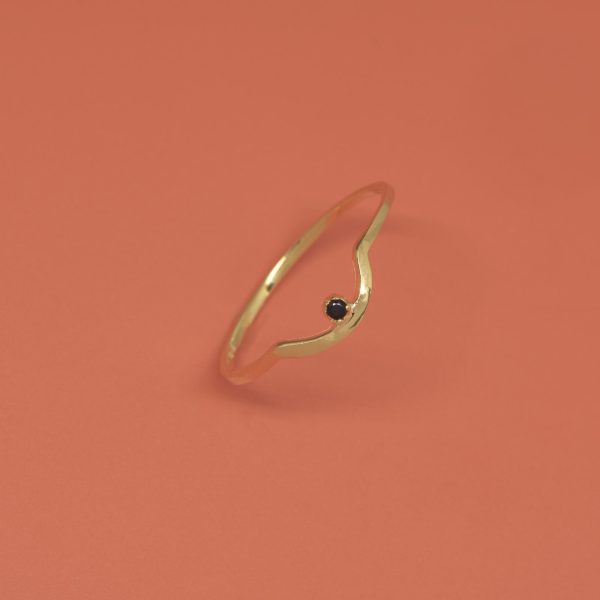 Curved Black Ring